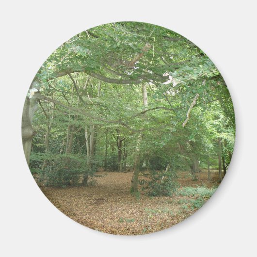 ウッドランドクリアリング磁石 マグネット (正面)