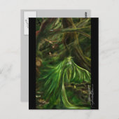 ウッドランドグリーン – はがき (正面/裏面)