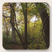 ウッドランドコースター コースター (正面)