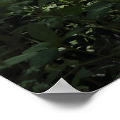 ウッドランドサンライト01 ポスター (角)