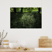 ウッドランドサンライト01 ポスター (キッチン)