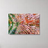 ウッドランドシダ キャンバスプリント (正面)