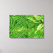 ウッドランドシダ キャンバスプリント (正面)