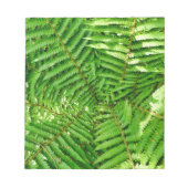 ウッドランドシダ ノートパッド (正面)