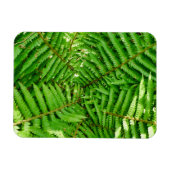 ウッドランドシダ マグネット (横)