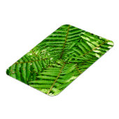 ウッドランドシダ マグネット (左側)