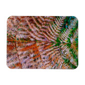 ウッドランドシダ マグネット (横)