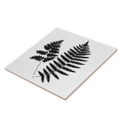 ウッドランドシダ、白黒 タイル (側面)