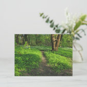 ウッドランドシーン。カーディフ・ブラックワイア・ウッズ カード (スタンド正面)