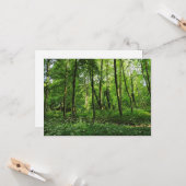 ウッドランドシーン。カーディフ・ブラックワイア・ウッズ カード (正面/裏面インサイチュ)