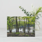 ウッドランドシーン。カーディフ・ブラックワイア・ウッズ カード (スタンド正面)