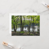 ウッドランドシーン。カーディフ・ブラックワイア・ウッズ カード (正面/裏面インサイチュ)