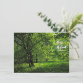 ウッドランドシーン。カーディフ・ブラックワイア・ウッズ カード (スタンド正面)