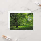 ウッドランドシーン。カーディフ・ブラックワイア・ウッズ カード (正面/裏面インサイチュ)