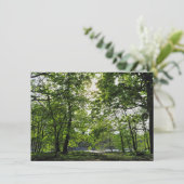 ウッドランドシーン。カーディフ・ブラックワイア・ウッズ カード (スタンド正面)