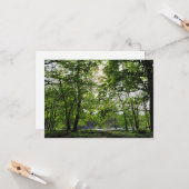 ウッドランドシーン。カーディフ・ブラックワイア・ウッズ カード (正面/裏面インサイチュ)