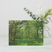 ウッドランドシーン。カーディフ・ブラックワイア・ウッズ カード (スタンド正面)