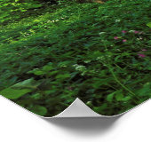 ウッドランドシーン。カーディフ・ブラックワイア・ウッズ ポスター (角)