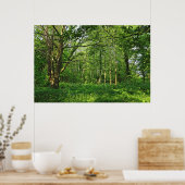 ウッドランドシーン。カーディフ・ブラックワイア・ウッズ ポスター (キッチン)