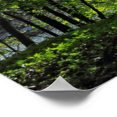 ウッドランドシーン。カーディフ・ブラックワイア・ウッズ ポスター (角)