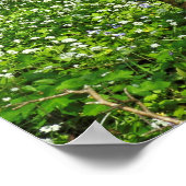 ウッドランドシーン。カーディフ・ブラックワイア・ウッズ ポスター (角)