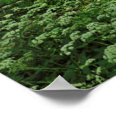 ウッドランドシーン。カーディフ・ブラックワイア・ウッズ ポスター (角)