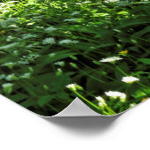 ウッドランドシーン。カーディフ・ブラックワイア・ウッズ ポスター (角)