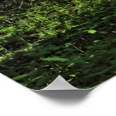 ウッドランドシーン。カーディフ・ブラックワイア・ウッズ ポスター (角)