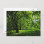 ウッドランドシーン。カーディフ・ブラックワイア・ウッズ ポストカード (正面/裏面)