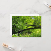 ウッドランドシーン カード (正面/裏面インサイチュ)