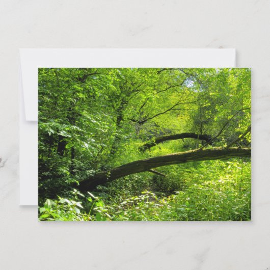 ウッドランドシーン カード (正面)