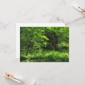 ウッドランドシーン カード (正面/裏面インサイチュ)