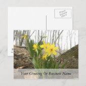 ウッドランドシーン – ダフォジル ポストカード (正面/裏面)