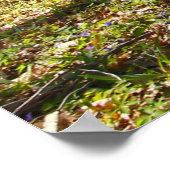 ウッドランドトレイルイン早期春 ポスター (角)