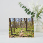 ウッドランドトレイルイン早期春 ポストカード (スタンド正面)