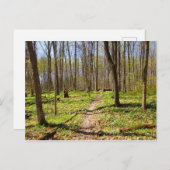 ウッドランドトレイルイン早期春 ポストカード (正面/裏面)