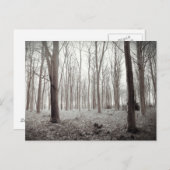 ウッドランドドリームはがき ポストカード (正面/裏面)