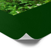 ウッドランドパス環境を考える ポスター (角)