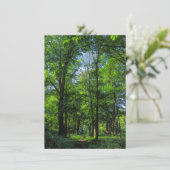 ウッドランドパス。ウェールズ、カーディフ、ブラックワイア・ウッズ。 カード (スタンド正面)