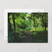 ウッドランドパス。ウェールズ、カーディフ、ブラックワイア・ウッズ。 ポストカード (正面/裏面)