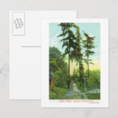 ウッドランドパークのドライブウェイビューホテル ポストカード (正面/裏面)