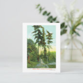 ウッドランドパークのドライブウェイビューホテル ポストカード (スタンド正面)