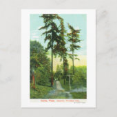 ウッドランドパークのドライブウェイビューホテル ポストカード (正面)