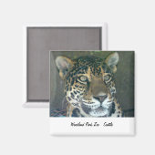 ウッドランドパーク動物園キャットマグネット マグネット (正面/裏面)