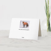 ウッドランドフォックスグリーティングカード カード (裏面)