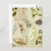 ウッドランドフォレスト野生生物フクロウ蝶自然 ポストカード (正面/裏面)