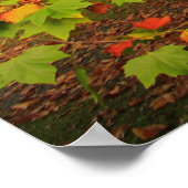 ウッドランドプリント ポスター (角)