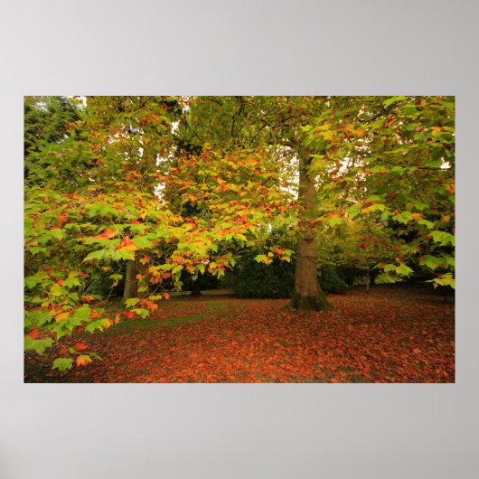 ウッドランドプリント ポスター (正面)