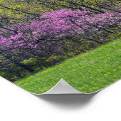 ウッドランドレッドブドツリーズショーニーミッションパークスカンザス ポスター (角)