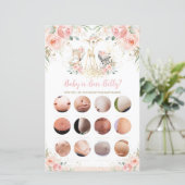 ウッドランド動物フローラベビーまたはビールベリーゲーム (スタンド正面)